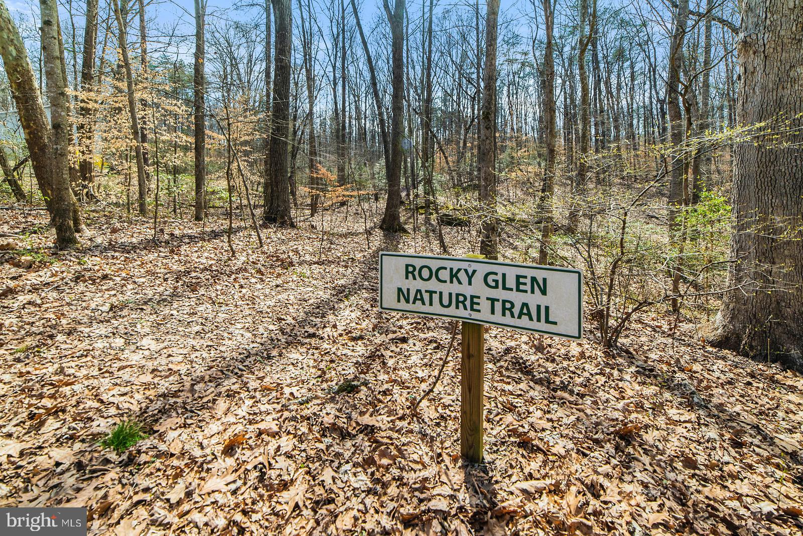 67 Ash Road Louisa, VA 23093 - Photo 44 of 66 Gallery Image 44