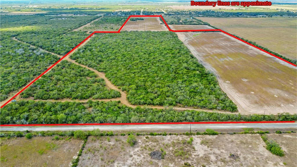 1121 Other Alice, TX 78332 - Photo 2 of 14 a view of a backyard with lots of green space and plants