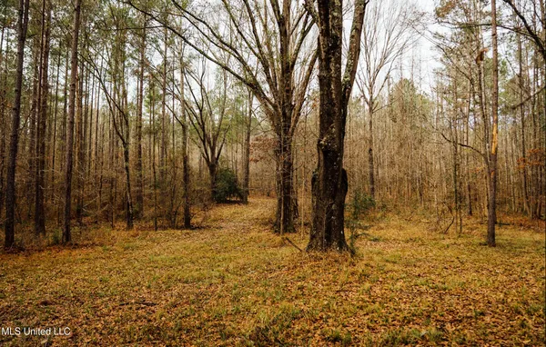$495,000 | 0 Warren Hood Road, Hermanville, MS 39086