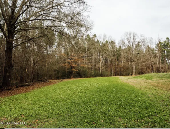 $495,000 | 0 Warren Hood Road, Hermanville, MS 39086