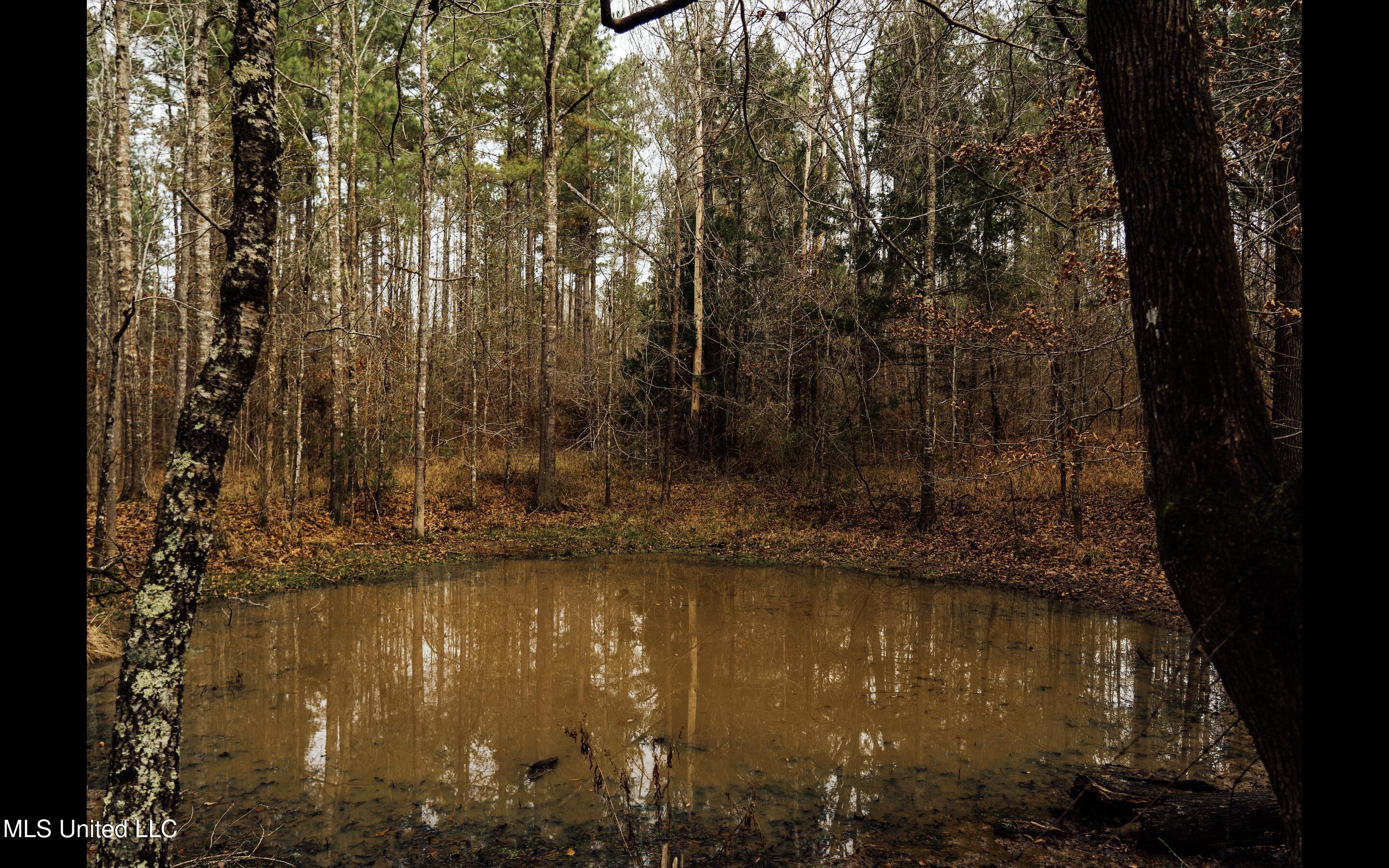 0 Warren Hood Road Hermanville, MS 39086 - Photo 3 of 7 Screen Shot 2026-01-24 at 1.06.06 PM