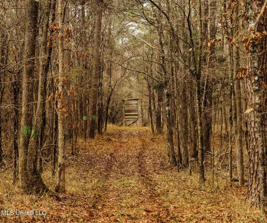 $495,000 | 0 Warren Hood Road, Hermanville, MS 39086