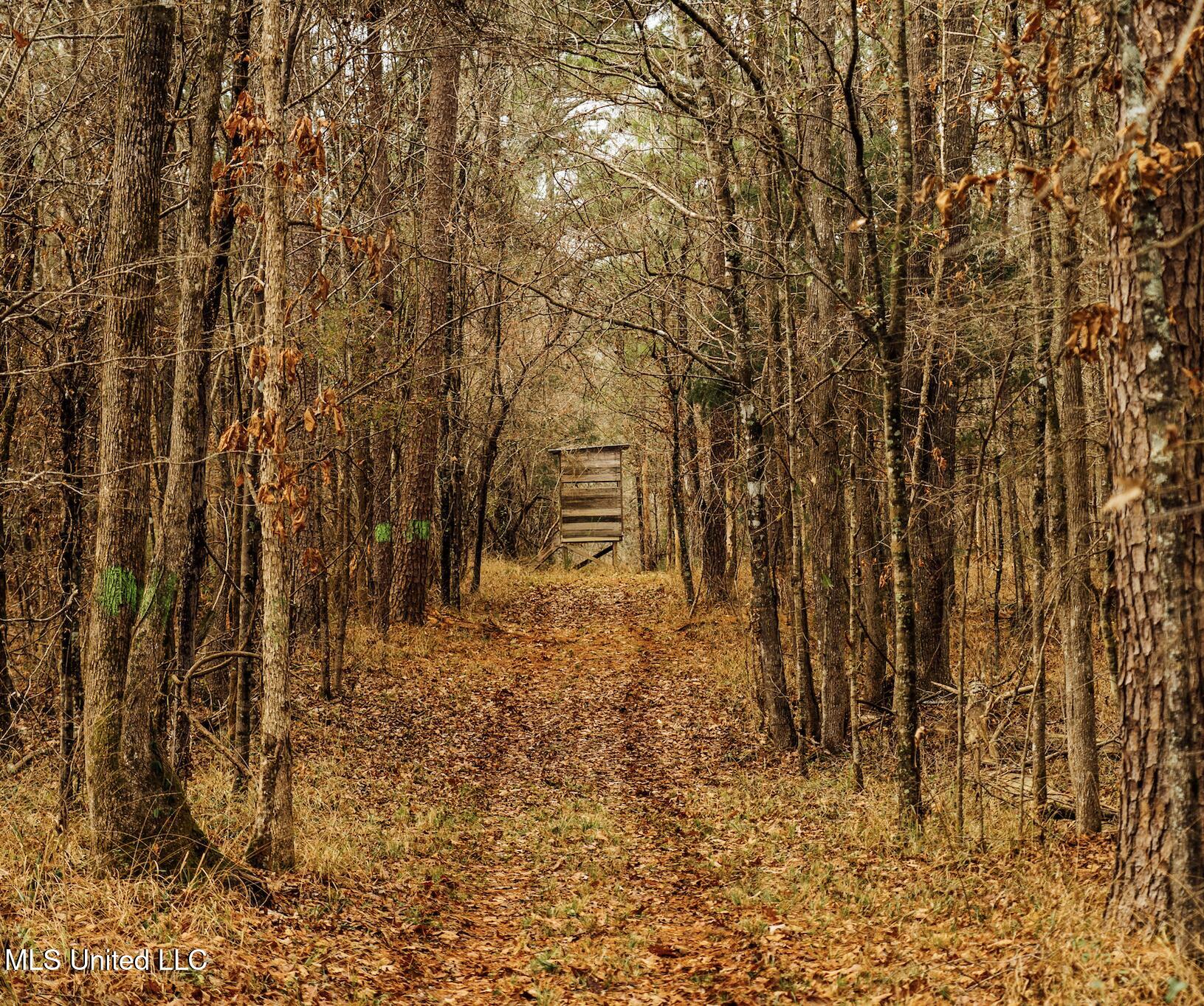 0 Warren Hood Road Hermanville, MS 39086 - Photo 5 of 7 Screen Shot 2026-01-24 at 1.09.39 PM