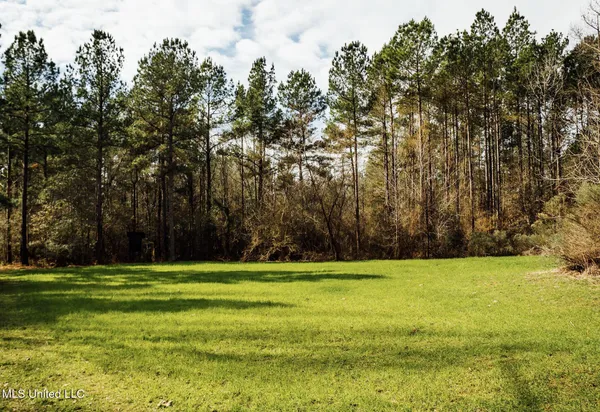 $495,000 | 0 Warren Hood Road, Hermanville, MS 39086