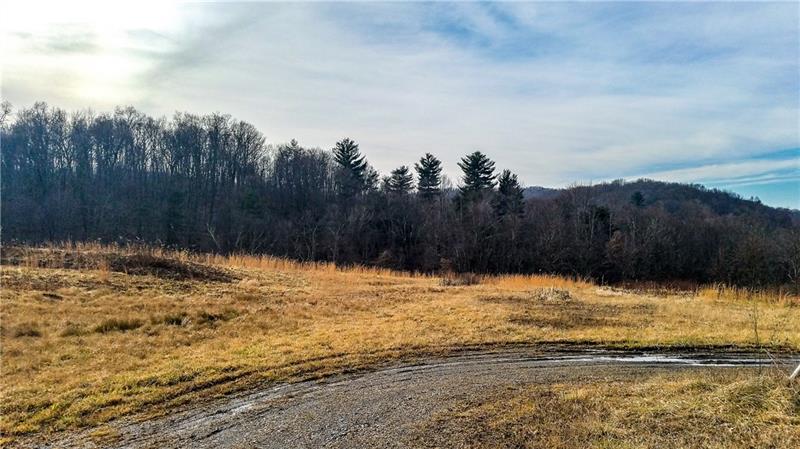 0 South Pike Road Sarver, PA 16055 - Photo 1 of 2 Gallery Image 1