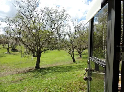 a view of backyard with tree