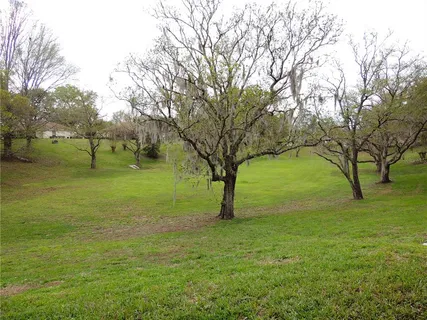 a view of outdoor space with trees all around