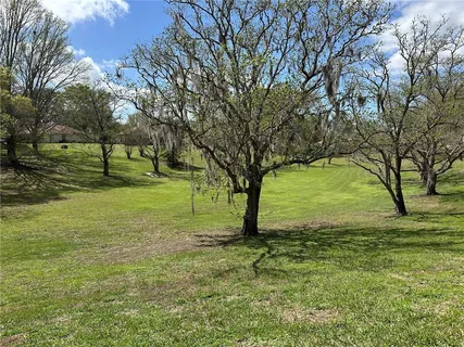 a view of a field with a tree