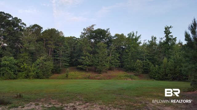 0 West Bull Run Road West Daphne, AL 36527 - Photo 1 of 1