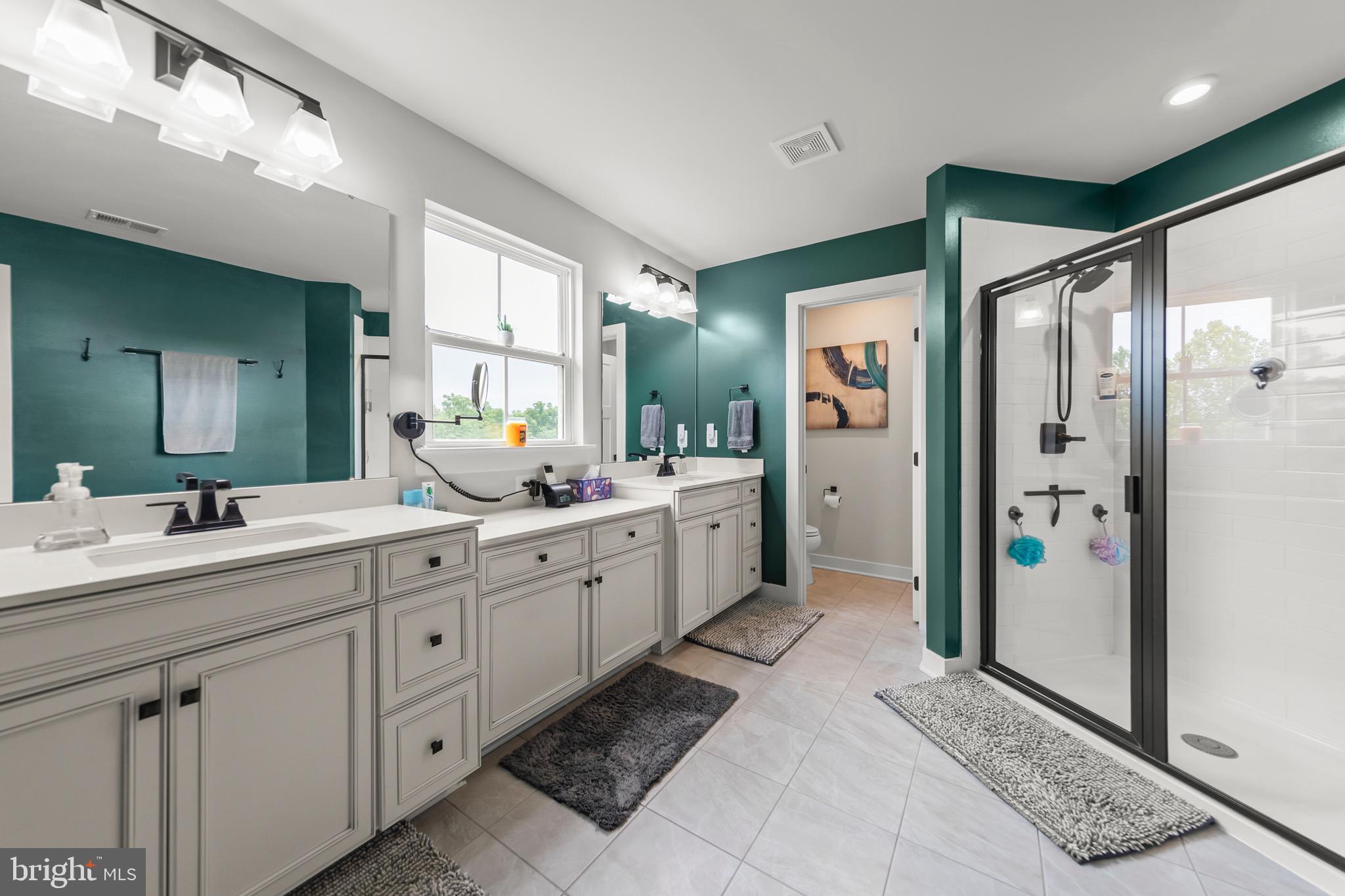 109 Decatur Circle Stephens City, VA 22655 - Photo 79 of 79 master bath with Tiled Walk-In Shower