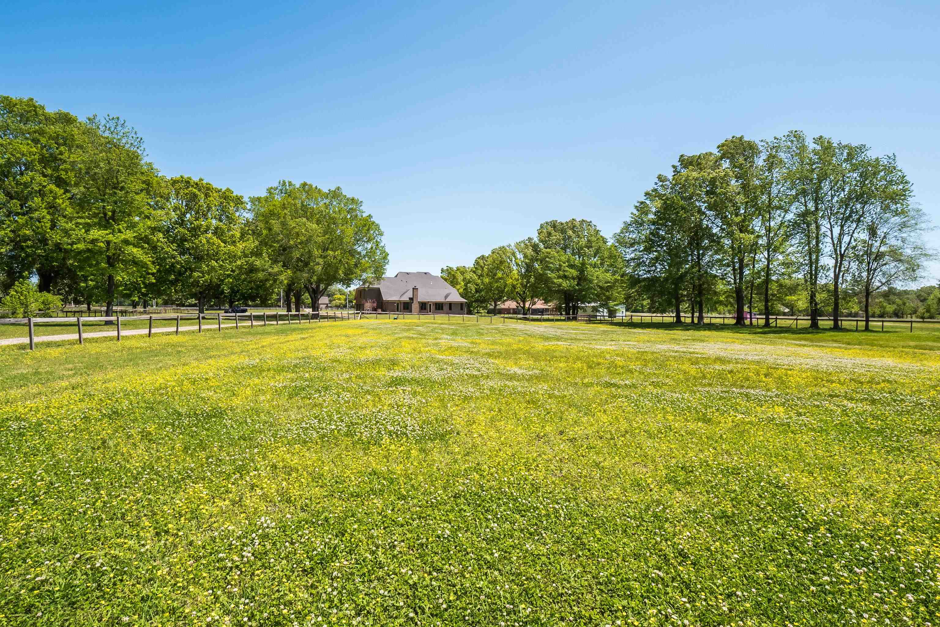 601 South Collierville Arlington Road Collierville, TN 38017 - Photo 21 of 25 Gallery Image 21