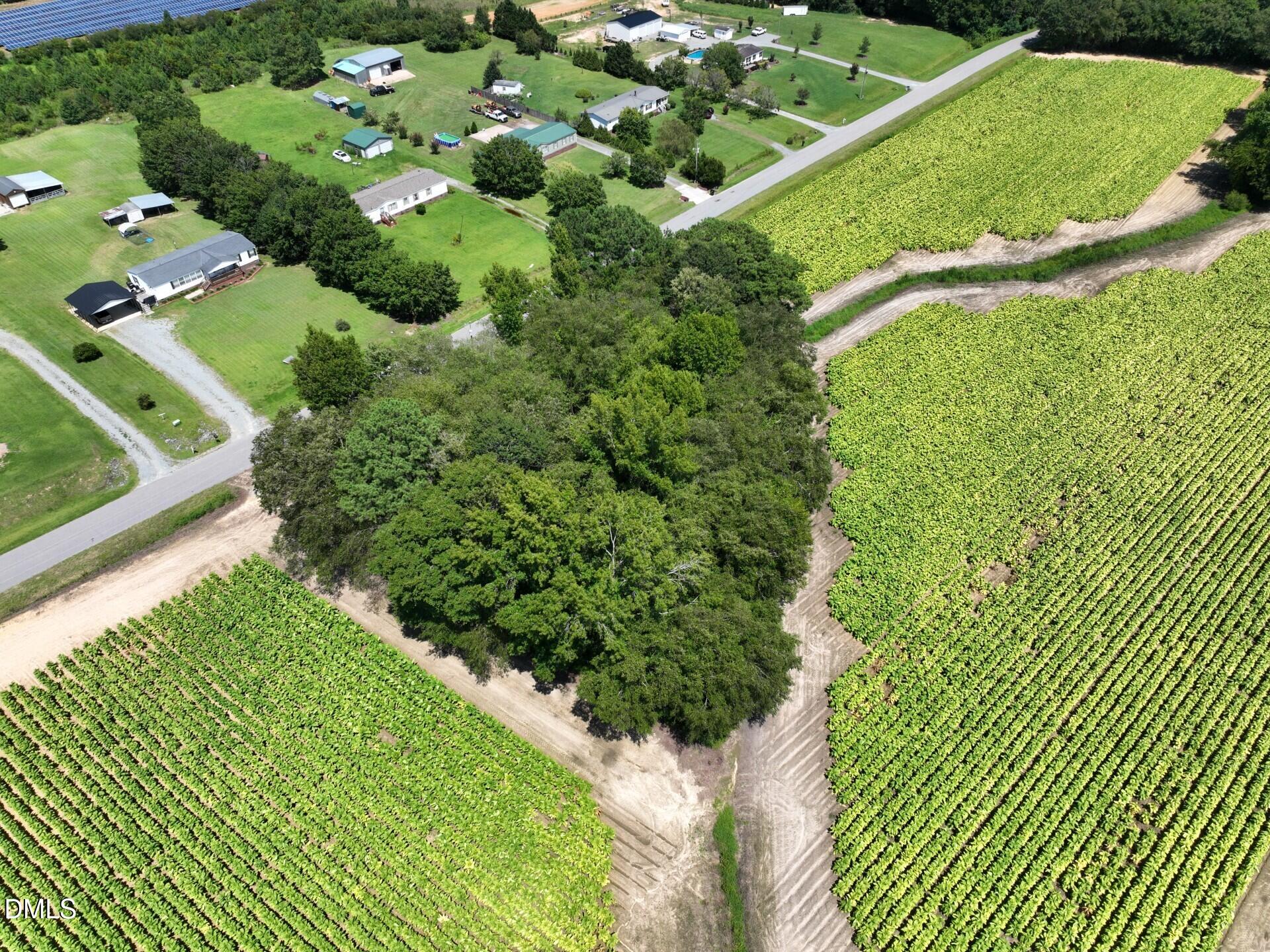 Lot 2 River Run Road Selma, NC 27576 - Photo 10 of 25 Pic 9 Selma