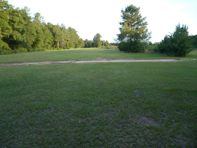 1086 Country Club Road Fort Valley, GA 31030 - Photo 7 of 7 a view of field with trees in the background