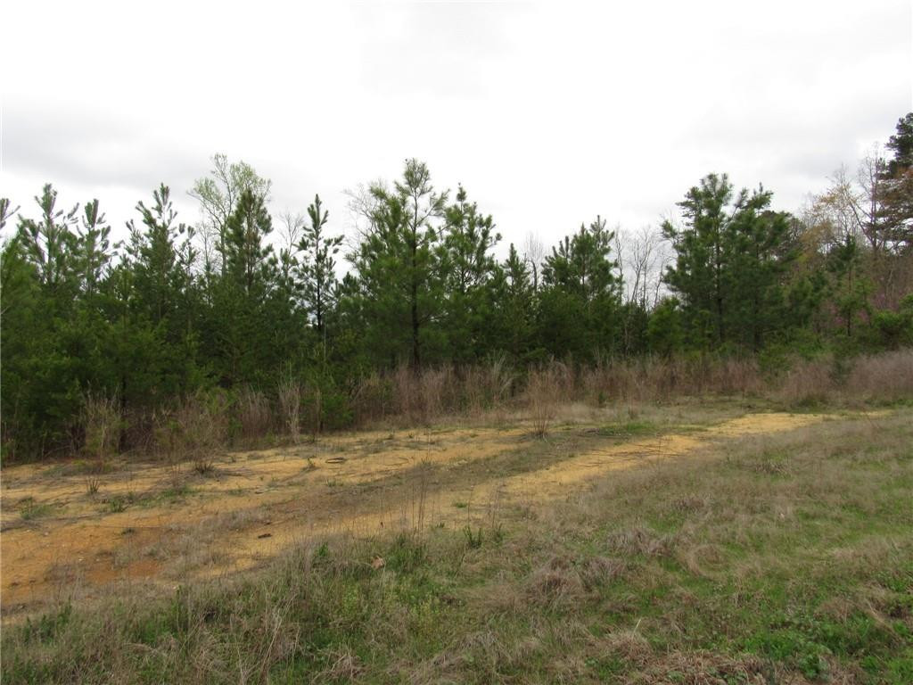 0 Hightowers Road Mebane, NC 27302 - Photo 1 of 9 Gallery Image 1