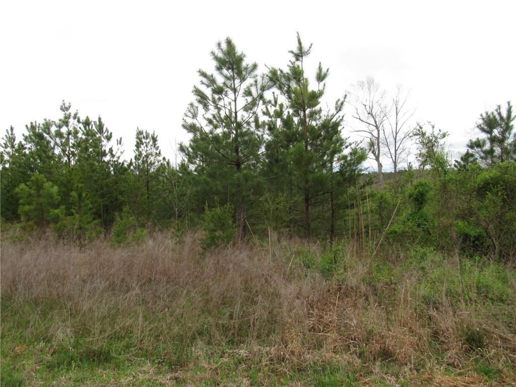 0 Hightowers Road Mebane, NC 27302 - Photo 3 of 9 Gallery Image 3