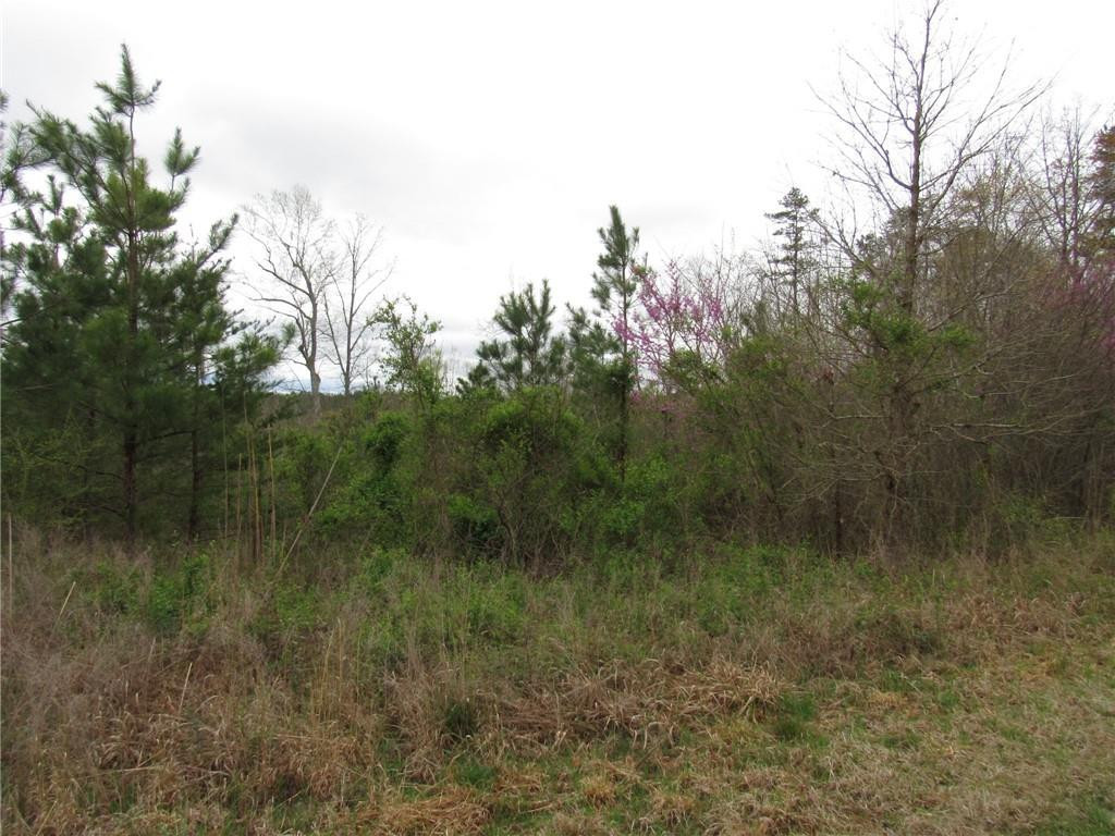 0 Hightowers Road Mebane, NC 27302 - Photo 4 of 9 Gallery Image 4