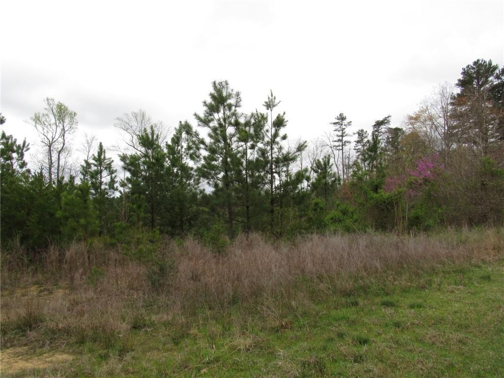 0 Hightowers Road Mebane, NC 27302 - Photo 7 of 9 Gallery Image 7