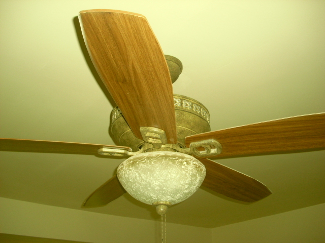 824 Middleton Road Jacksonville, FL 32211 - Photo 17 of 24 custom ceiling fans through out home