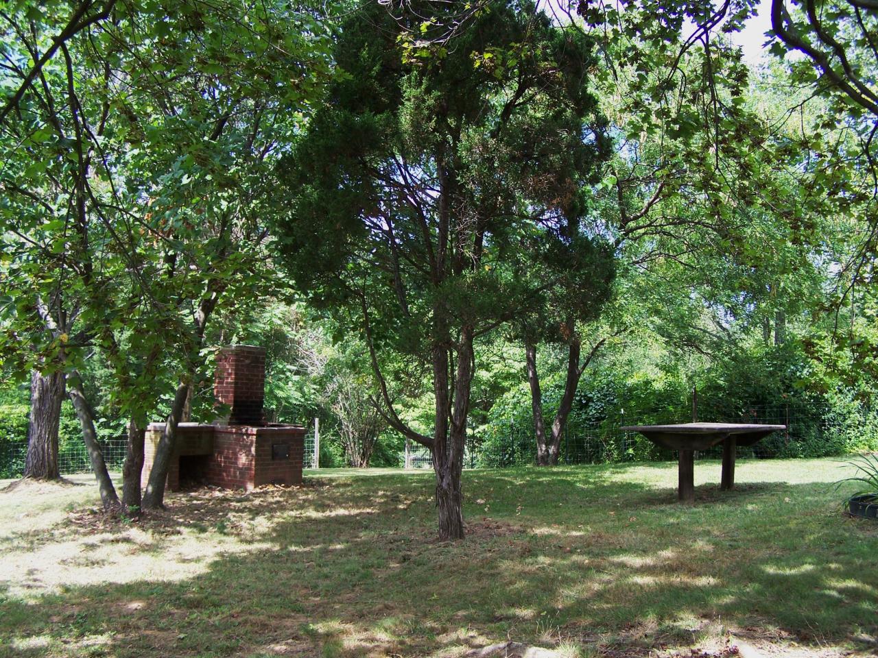 153 Ottaway Road Troutville, VA 24175 - Photo 17 of 22 Side yard picnic area