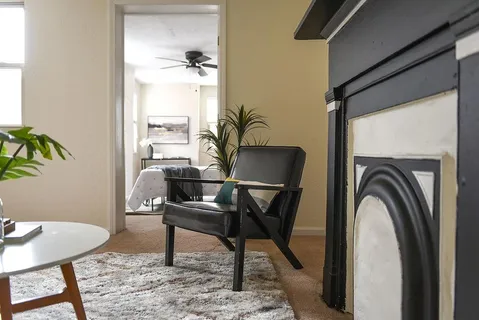 a living room with furniture and a potted plant