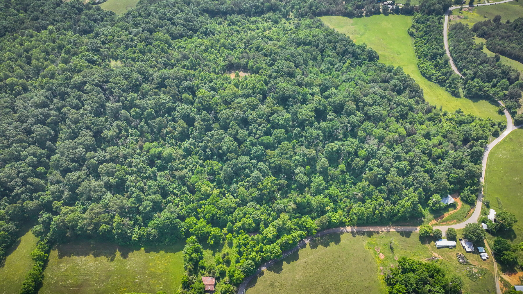 1106 Spider Stines Road Greeneville, TN 37745 - Photo 13 of 22 113