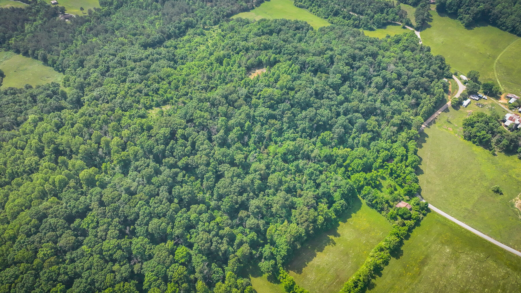 1106 Spider Stines Road Greeneville, TN 37745 - Photo 14 of 22 114
