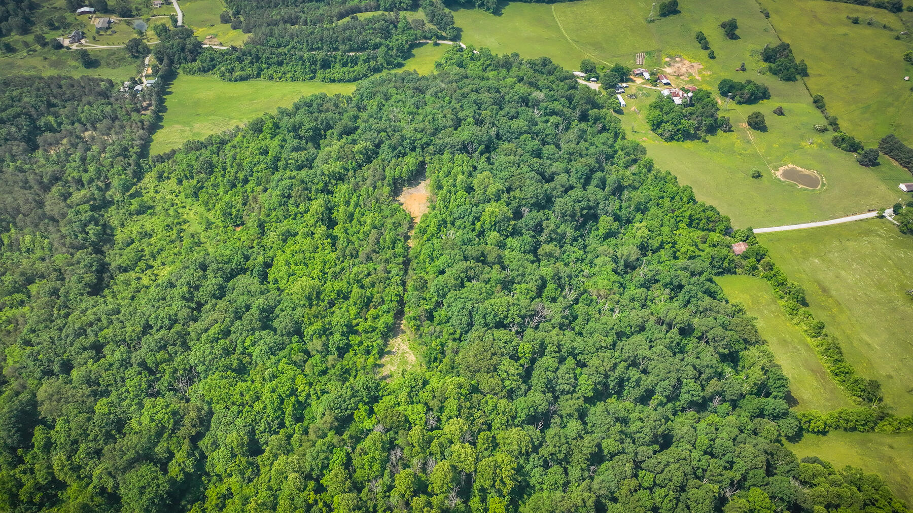 1106 Spider Stines Road Greeneville, TN 37745 - Photo 15 of 22 115