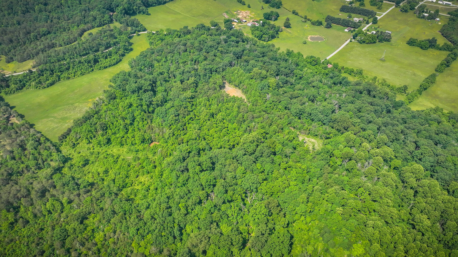 1106 Spider Stines Road Greeneville, TN 37745 - Photo 16 of 22 116