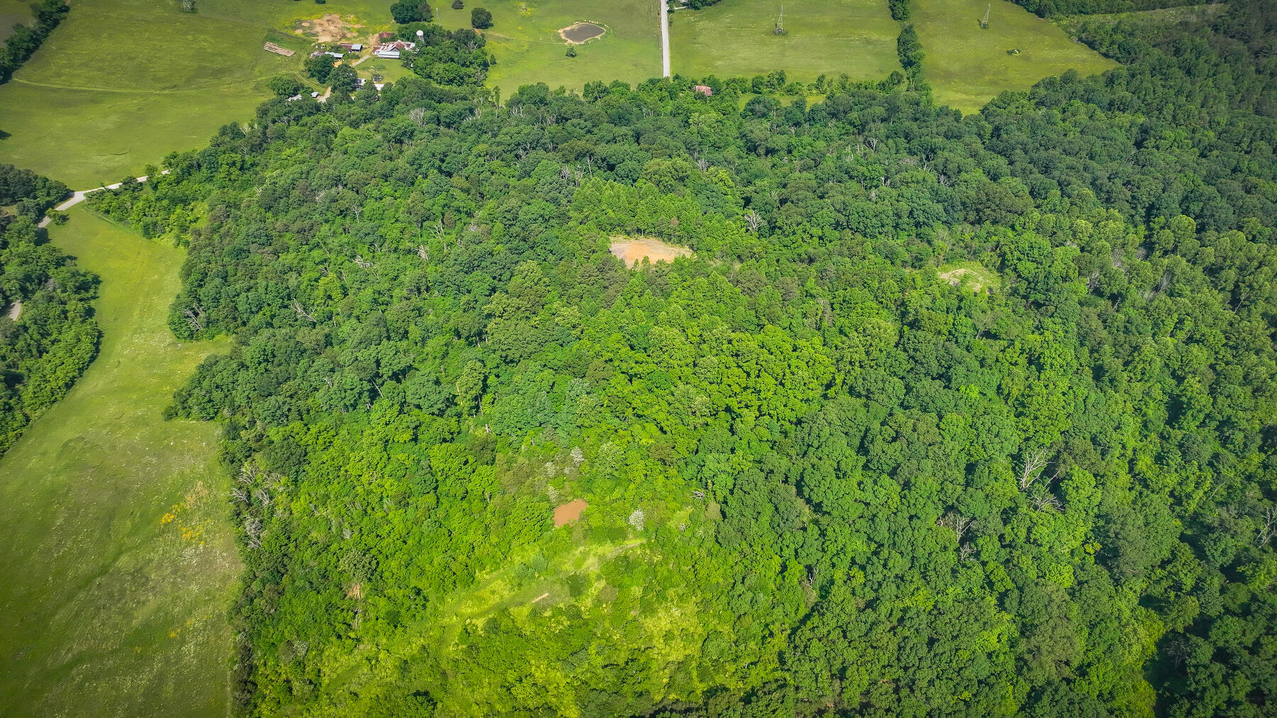 1106 Spider Stines Road Greeneville, TN 37745 - Photo 17 of 22 117