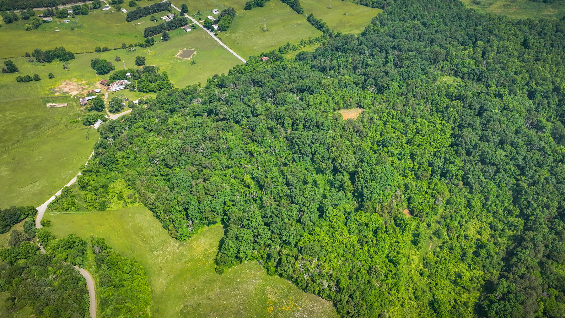 1106 Spider Stines Road Greeneville, TN 37745 - Photo 18 of 22 118