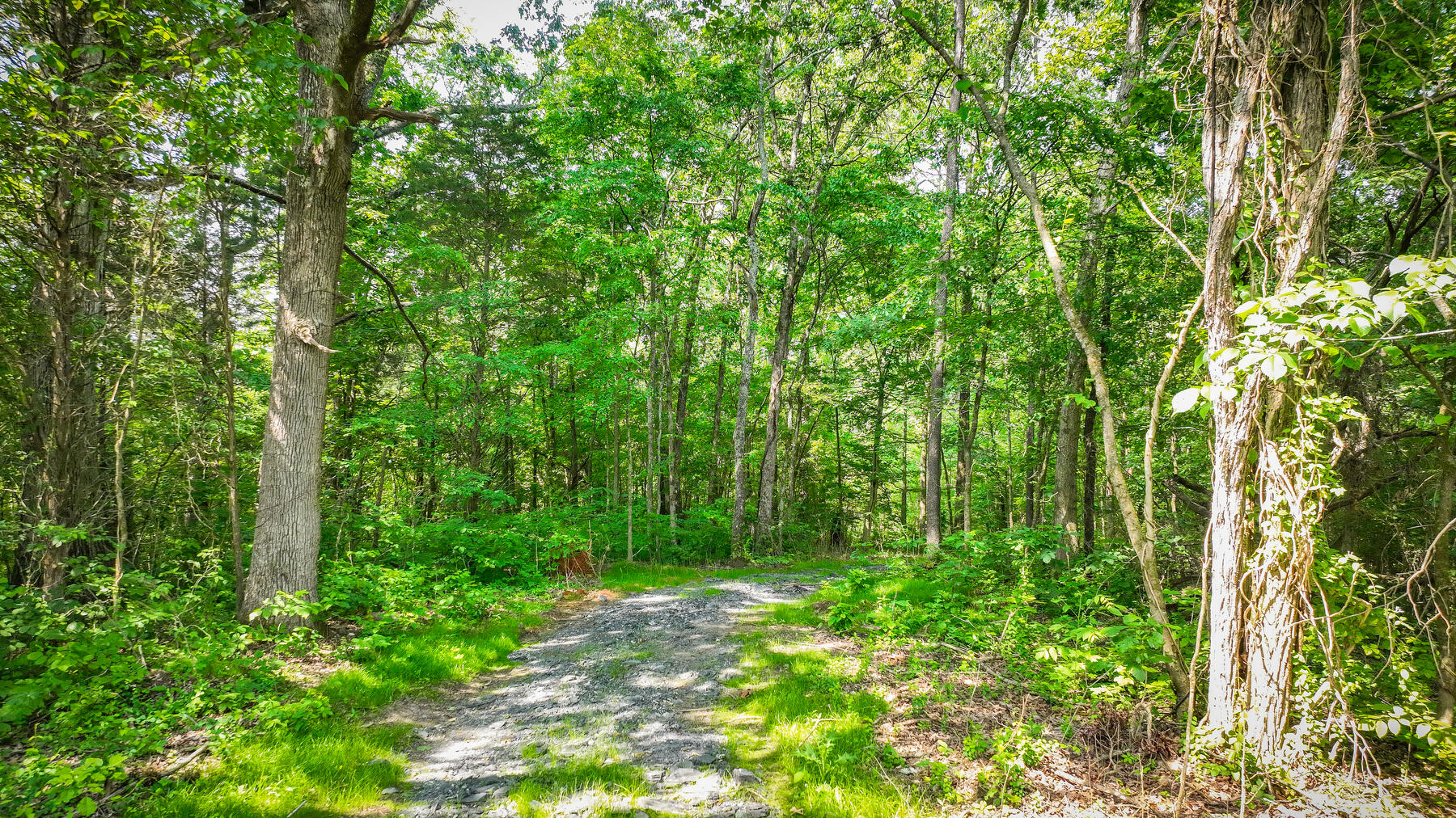 1106 Spider Stines Road Greeneville, TN 37745 - Photo 2 of 22 102