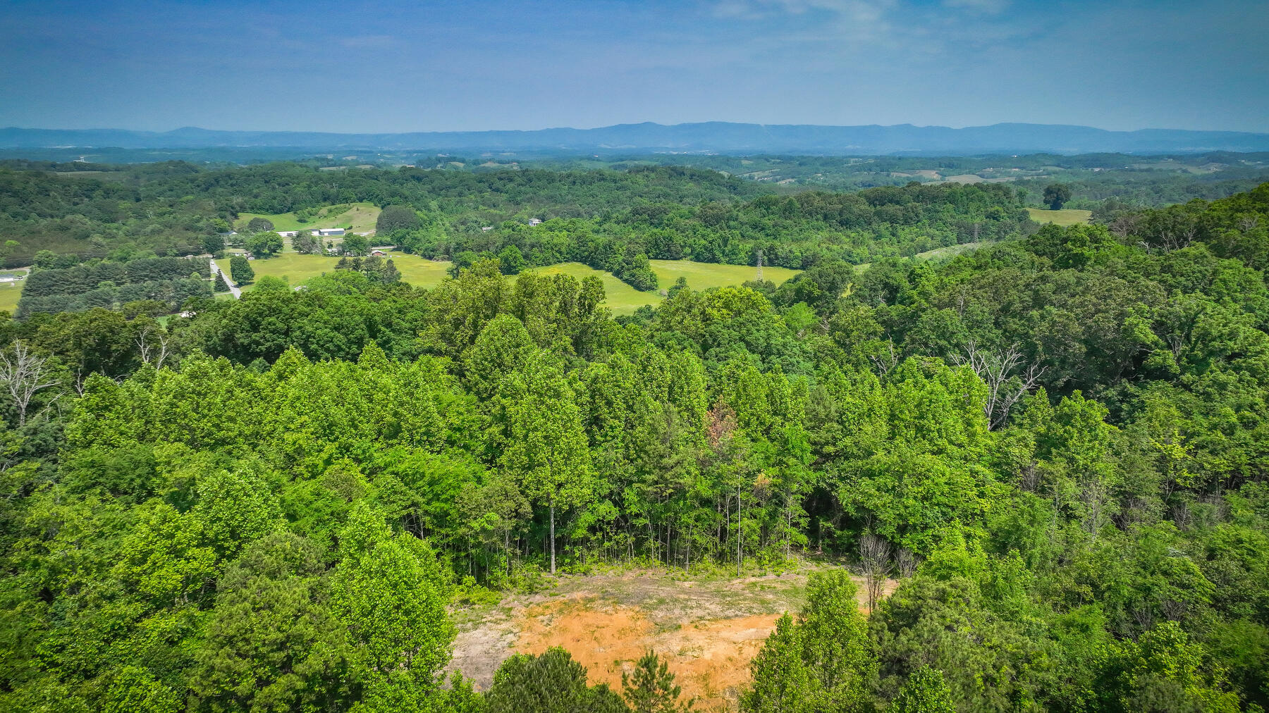1106 Spider Stines Road Greeneville, TN 37745 - Photo 3 of 22 103