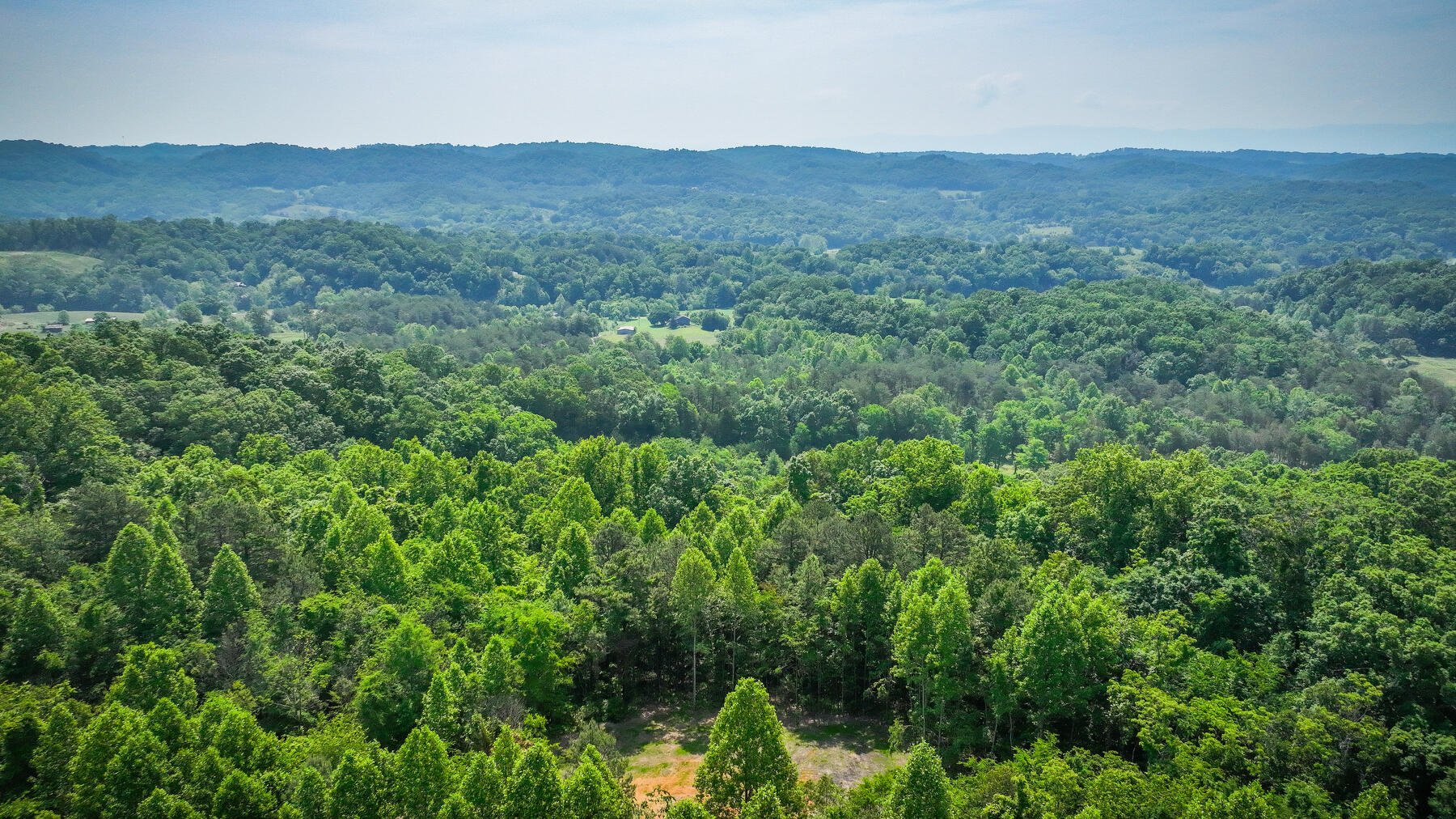 1106 Spider Stines Road Greeneville, TN 37745 - Photo 4 of 22 104
