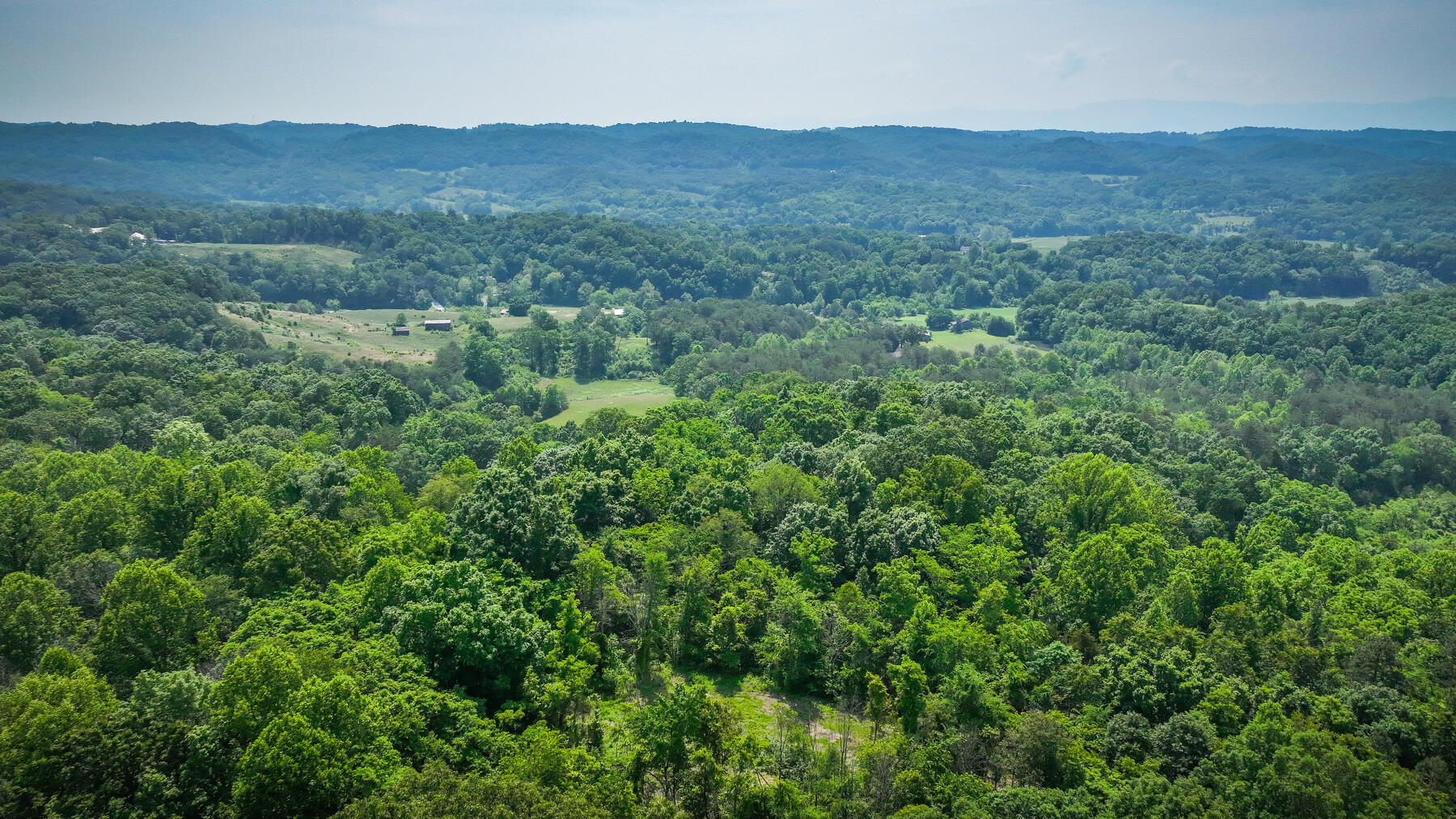 1106 Spider Stines Road Greeneville, TN 37745 - Photo 5 of 22 105