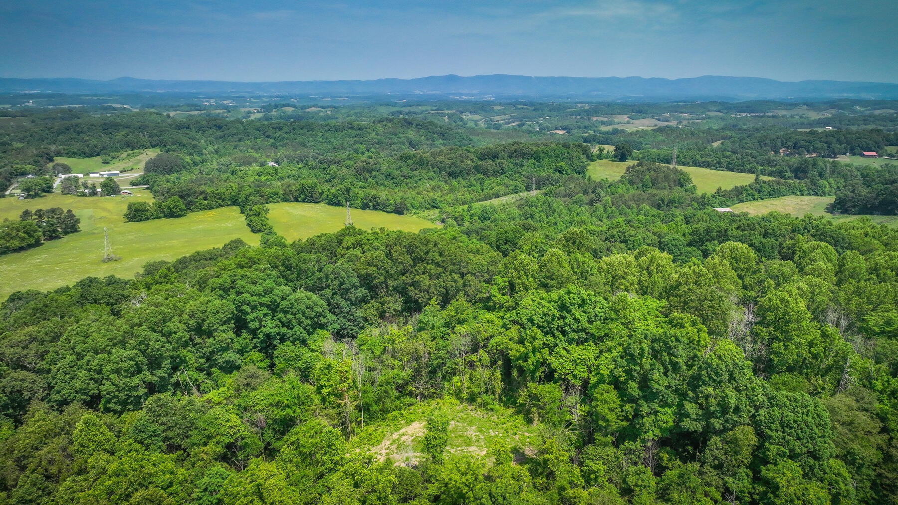 1106 Spider Stines Road Greeneville, TN 37745 - Photo 6 of 22 106