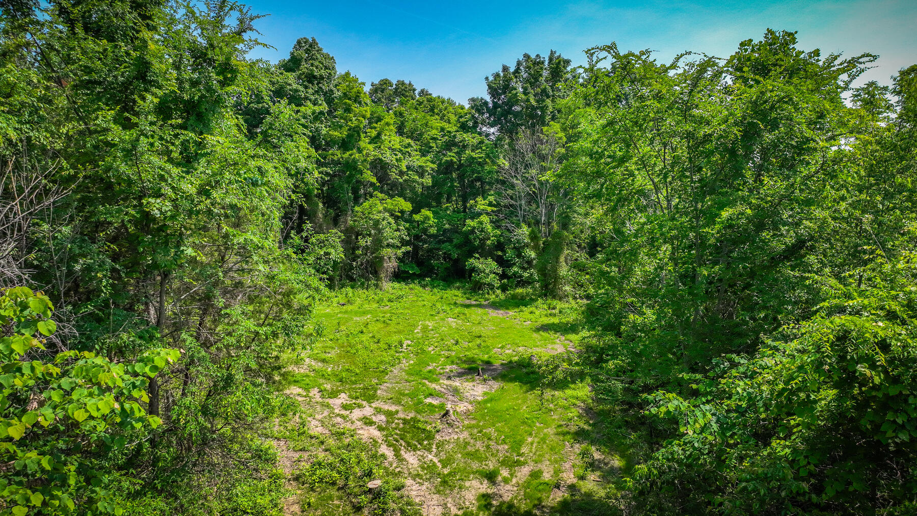 1106 Spider Stines Road Greeneville, TN 37745 - Photo 7 of 22 107