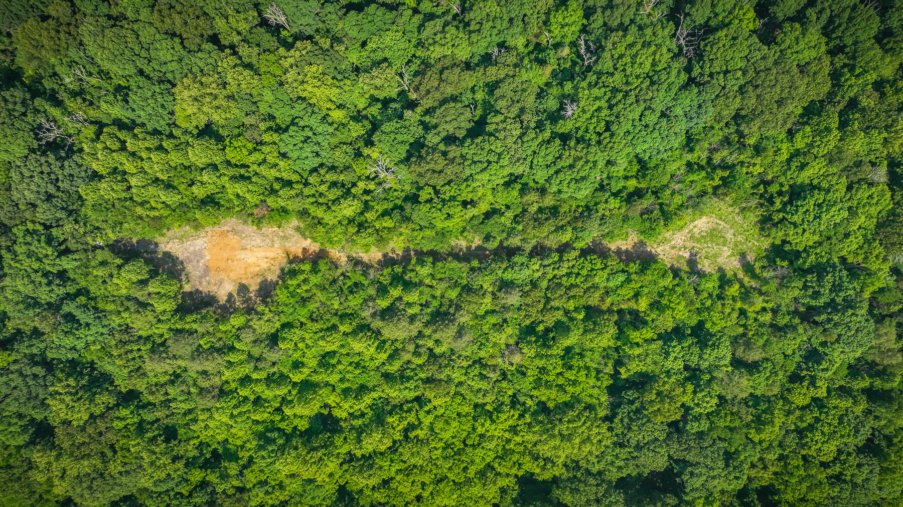 1106 Spider Stines Road Greeneville, TN 37745 - Photo 9 of 22 109