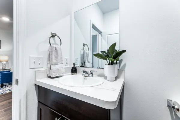 a bathroom with a sink and a mirror