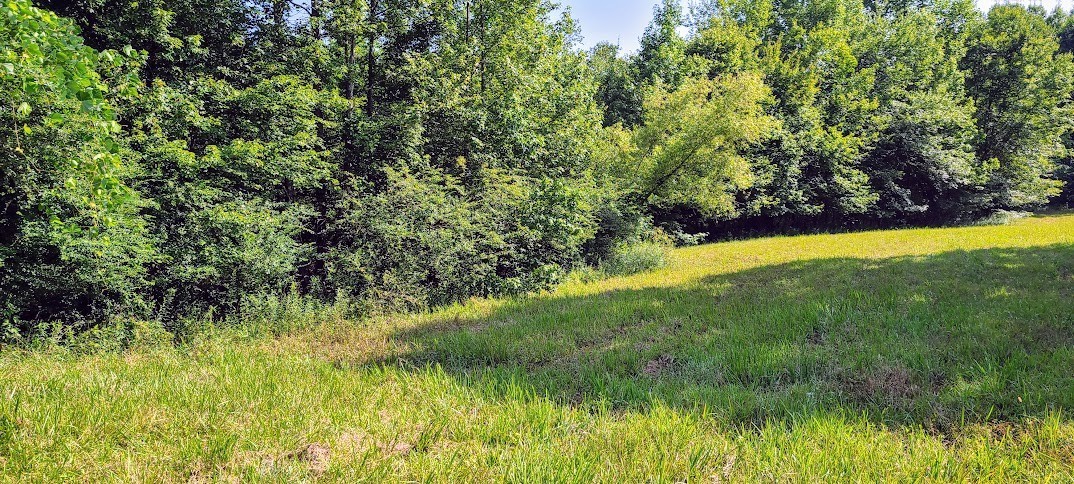 714 Trussell Road Monteagle, TN 37356 - Photo 11 of 27 Gallery Image 11