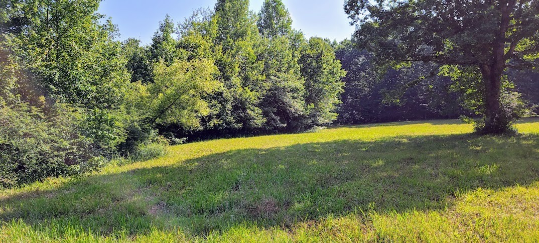 714 Trussell Road Monteagle, TN 37356 - Photo 12 of 27 Gallery Image 12