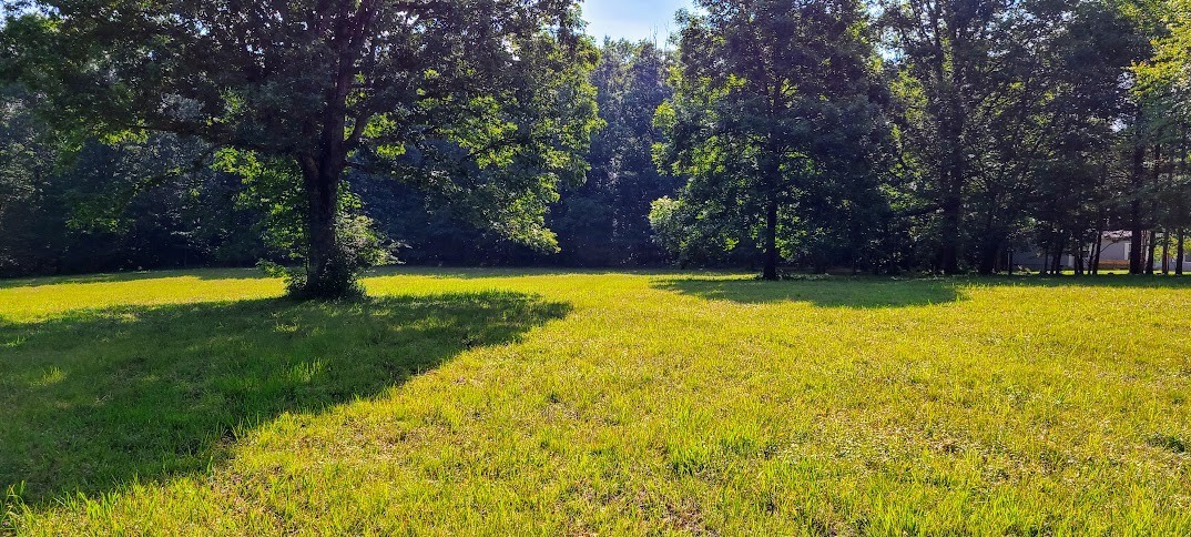 714 Trussell Road Monteagle, TN 37356 - Photo 13 of 27 Gallery Image 13