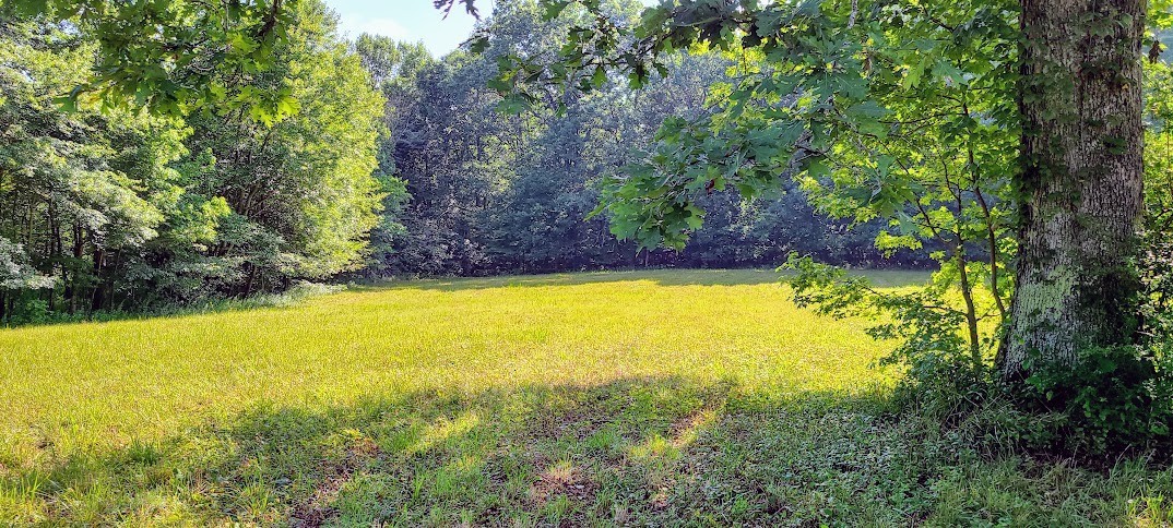 714 Trussell Road Monteagle, TN 37356 - Photo 17 of 27 Gallery Image 17