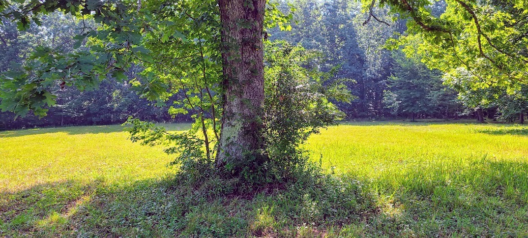 714 Trussell Road Monteagle, TN 37356 - Photo 18 of 27 Gallery Image 18