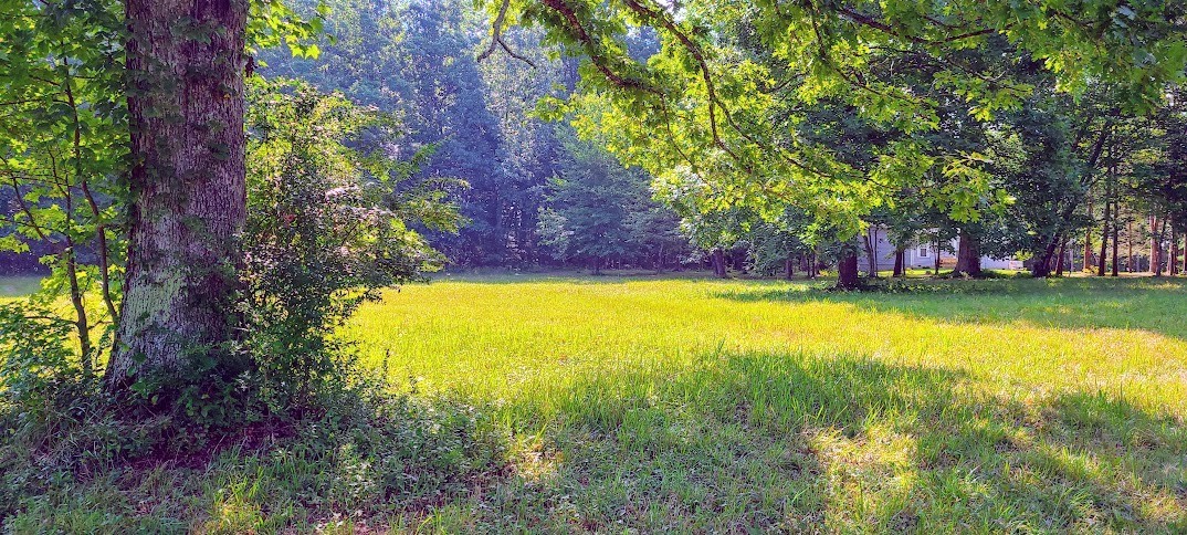 714 Trussell Road Monteagle, TN 37356 - Photo 19 of 27 Gallery Image 19