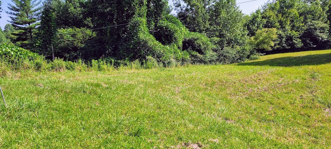 714 Trussell Road Monteagle, TN 37356 - Photo 3 of 27 Gallery Image 3