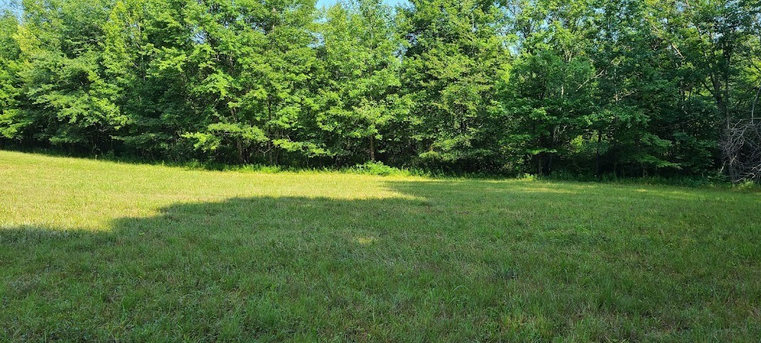 714 Trussell Road Monteagle, TN 37356 - Photo 25 of 27 Gallery Image 25