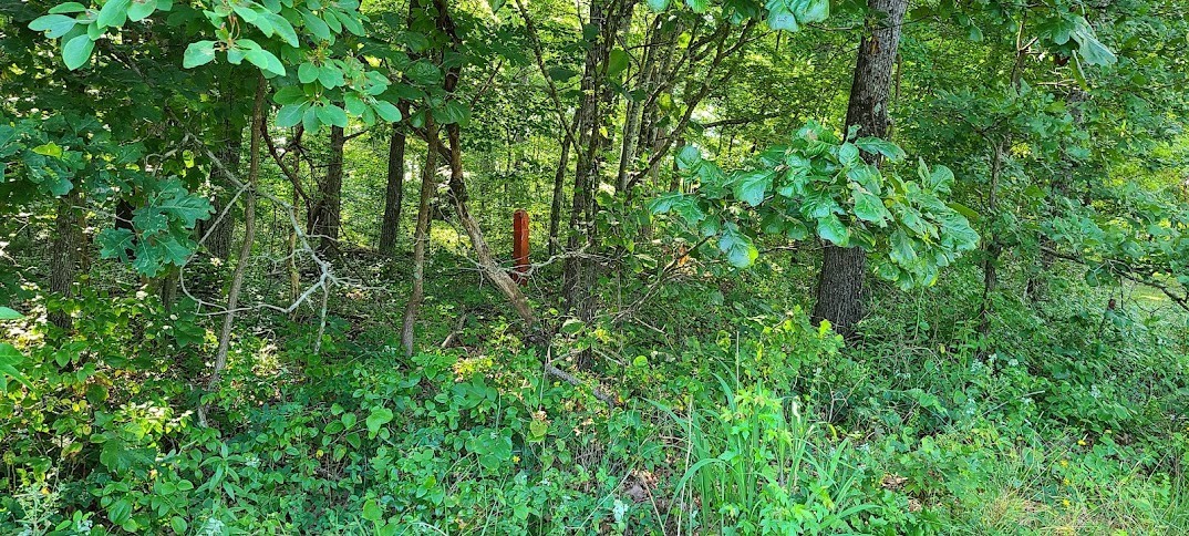 714 Trussell Road Monteagle, TN 37356 - Photo 27 of 27 Gallery Image 27