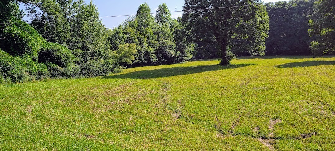714 Trussell Road Monteagle, TN 37356 - Photo 4 of 27 Gallery Image 4