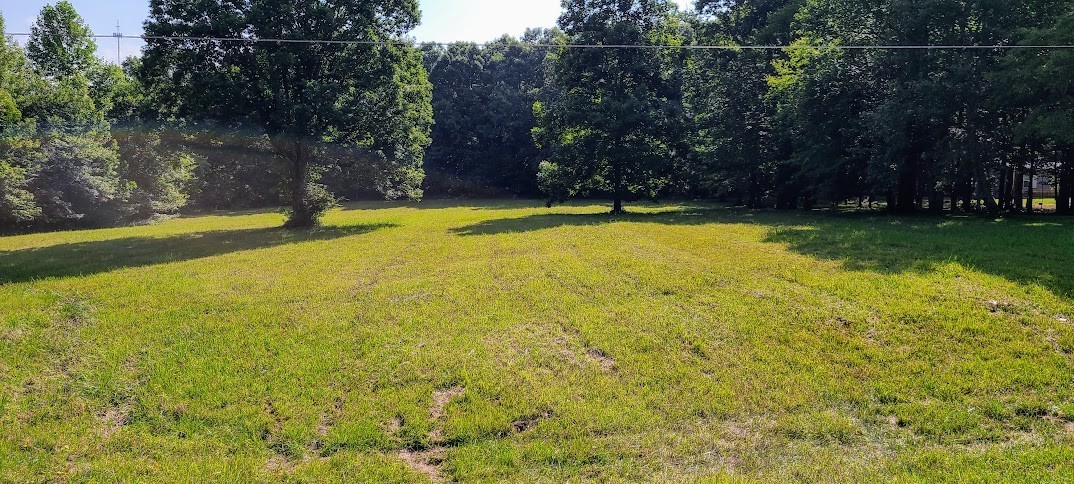 714 Trussell Road Monteagle, TN 37356 - Photo 5 of 27 Gallery Image 5