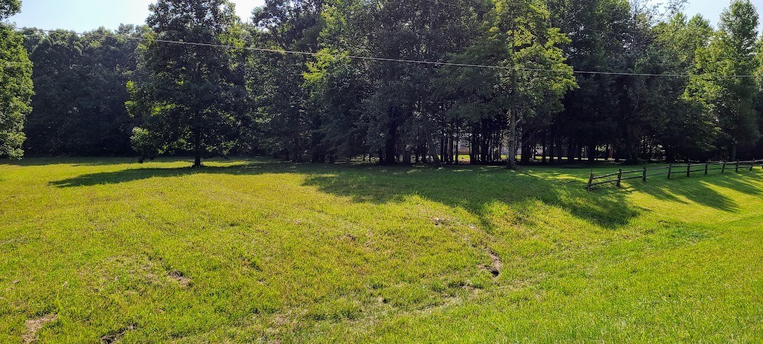 714 Trussell Road Monteagle, TN 37356 - Photo 7 of 27 Gallery Image 7